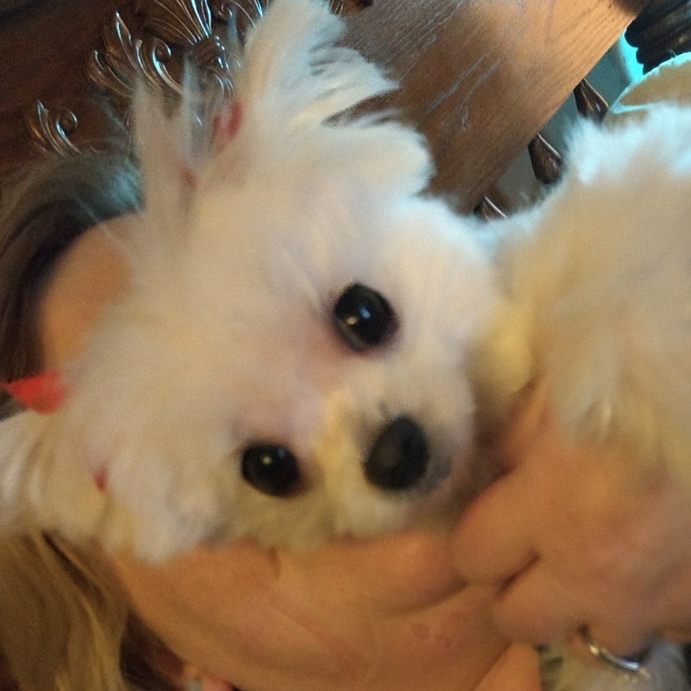 Meet your Posher, Alice